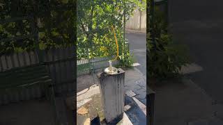 В Армении питьевая вода общедоступна