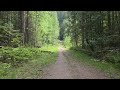 Walk with me! 