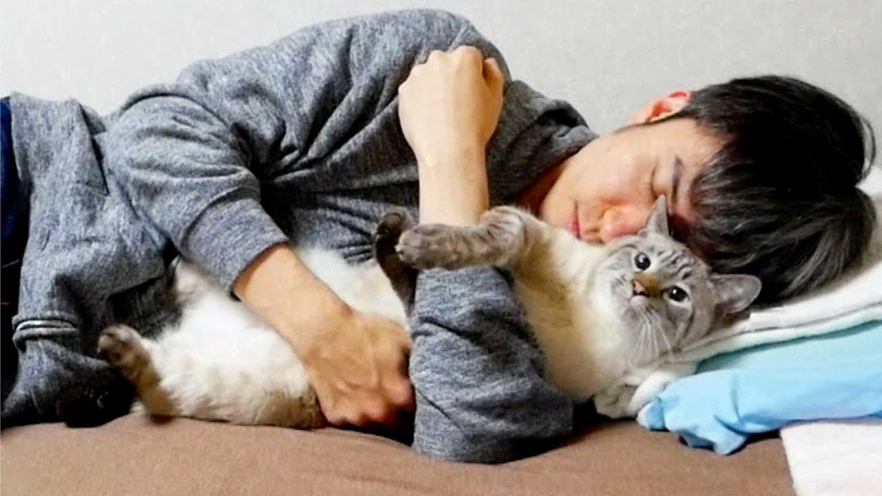 猫をギュッと抱きしめると幸せな気持ちになります Youtube 猫をギュッと抱きしめると幸せな気持ちになります Youtube