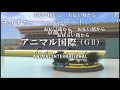 【コメ付き】JAPAN WORLD CUP 3 〜第4レース〜