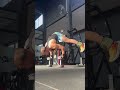 Handstand push up x 4kg. #hspu #calistenia #viral #calisthenics