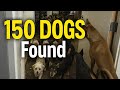 150 DOGS Found! Police Shocked by What’s Inside This Utah Home #breakingnews #bodycam