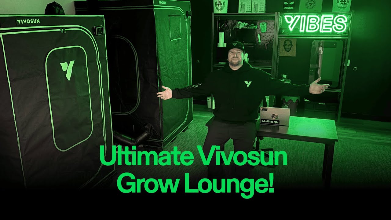 От концепции до урожая: как мы преобразили штаб-квартиру Vivosun...