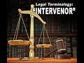 CHILD SUPPORT: 3RD PARTY INTERVENOR