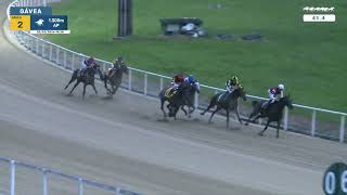 Vidéo de la course PMU PREMIO BUCAREST