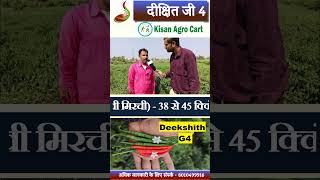 🌶️ Deekshith G4 Hybrid Chilli - Gopal Hatwar - Asoli (Aroli) Nagpur #virusfreechilli #g4chilli