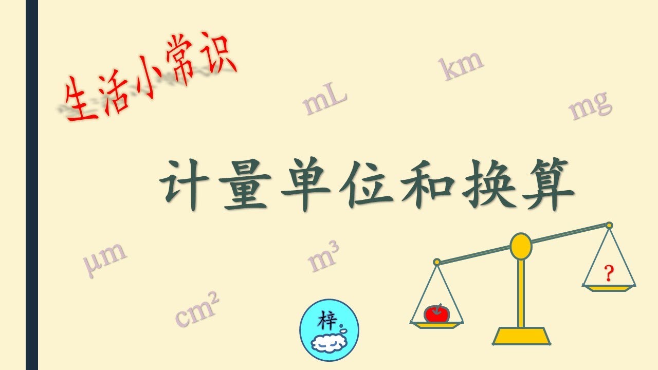 丰富生活小常识 计量单位和换算 国际标准 小学数学 Youtube