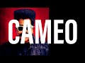 Cameo - I Just Want to Be One Nation Under a Groove (Parliament Funkadelic)