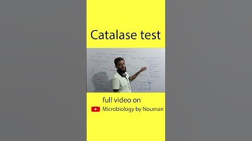 Catalase test #short part 1 #bacteria #microbiology