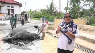BATAGAK PANGHULU