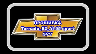 Прошивка SVV Tornado_E2_AI-95-sport. Так Евро 2 или Евро 0 ?