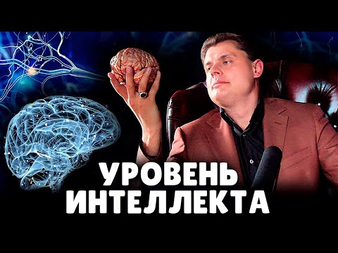Е. Понасенков про уровень интеллекта