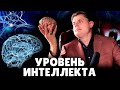 Е. Понасенков про уровень интеллекта