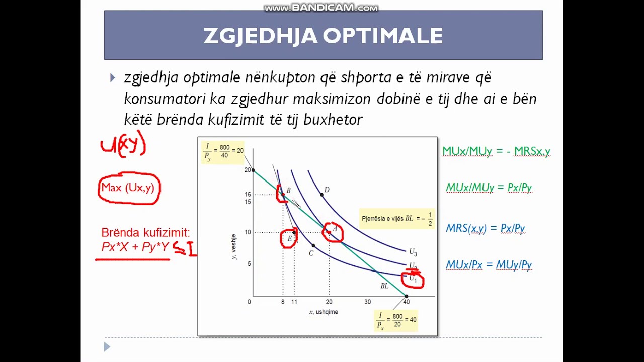 MIKROEKONOMI - zgjedhja optimale