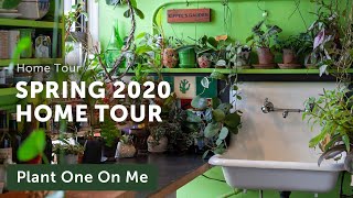 My Houseplant Home Tour: Spring 2020 — Ep 169