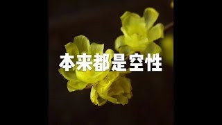201803 本来都是空性23773