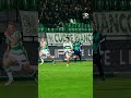 Electric try