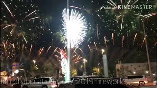 abu dhabi national day 2019 fireworks