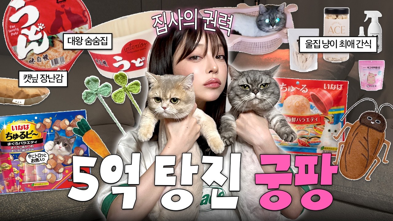 [SUB]🐱N년차 집사의 내돈내산 궁디팡팡 펫페어 추천템 하울 💸 (feat. 나눔 이벤트)