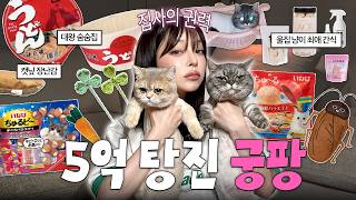 [ENG SUB] "N-year veteran cat mom's must-have pet fair finds: a treat haul screenshot 4