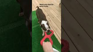 #boston #dogs #trending #blowthisupforme #dog #bostonterrier #puppy games