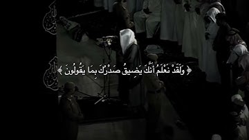 سورة الحجر _ { ولقد نعلم أنك يضيق صدرك بما يقولون 🥹❤️🩹} #حالات_واتس_اب #ستوريات_انستا #قرآن
