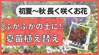 《今年は早めに夏苗植え替え！》購入品でご紹介したPW苗を中心に植え替え／苗の配置について／土が大切！ふかふかの土づくり／根腐れ防止対策／水やり忘れたらアウトです。。