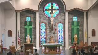Tuesday Mass August 11, 2026