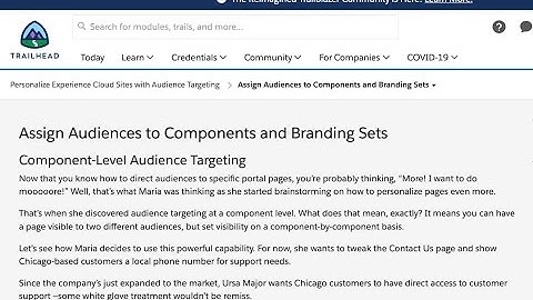 SalesForce - Trailhead - Assign Audiences to Components and Branding Sets