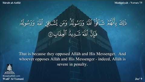 سورة الأنفال مترجمه بالانجليزية بصوت القارئ وديع اليمني Surah Al-anfal Translated To English