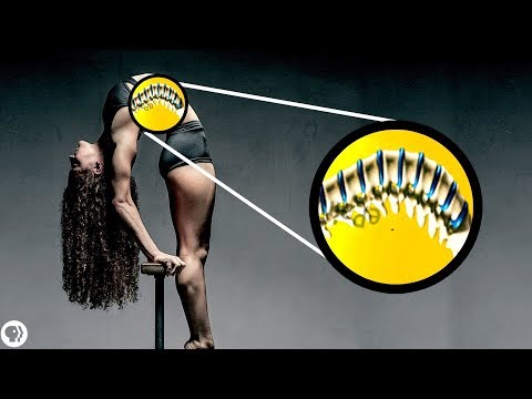 What stretching actually does to your body ft. Sofie Dossi thumbnail