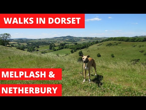 WALKS IN DORSET at MELPLASH & NETHERBURY (4K)