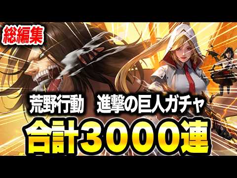 にゃん汰 - YouTube