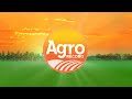 AGRO RECORD 03/05