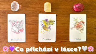 💫💕Co dále přichází v lásce a milostném životě?💛🌼🕊️