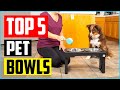 Top 10 Best Pet Bowls in 2022 – Dog Bowls