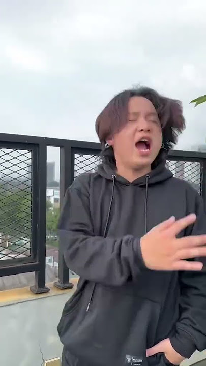 Notifikasi anjing