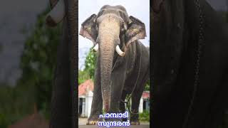 കണ്ണമ്പ്ര ഋഷിനാരഥമംഗലം വേല 2026 ഋഷിനാരഥമംഗലം ദേശം✨ (updated) #aana #vela #pooram