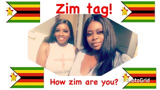ZIM TAG! | WHO IS MORE ZIM? Part 1 | Zim Dancehall | Zim Fun Facts | Cath and Nessa