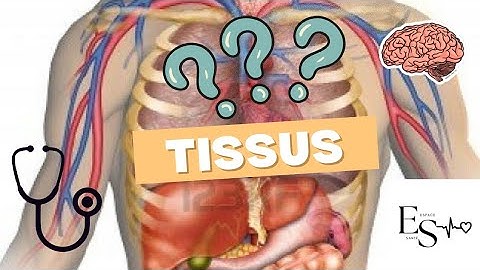 Anatomie du corps humain : 2- les tissus du corps humain. #anatomie #science #muscles #ifsi #health