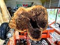 You Have To See What Is Inside This Apple Log