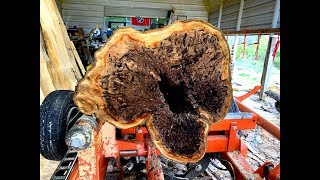 You Have To See What Is Inside This Apple Log