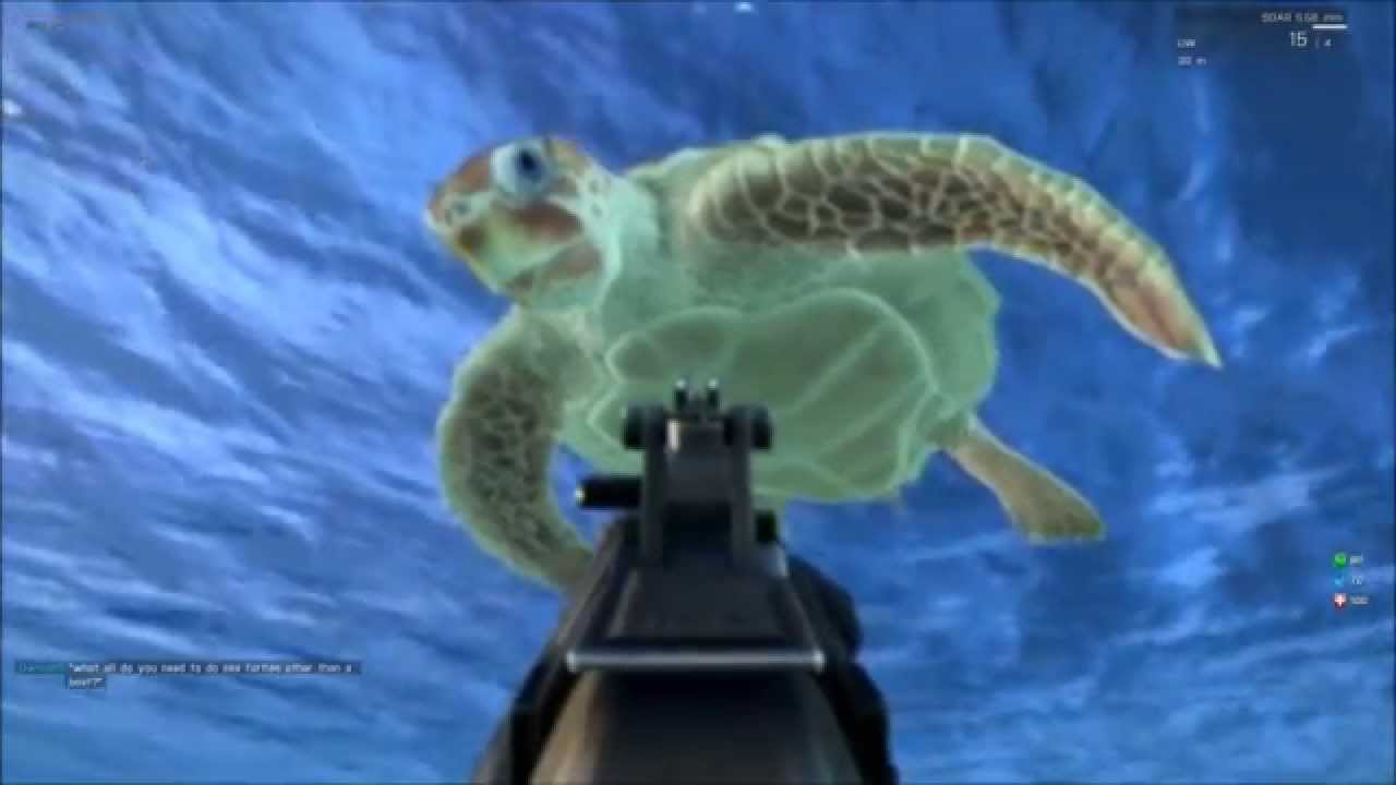 altis life turtle poaching altis life turtle poaching