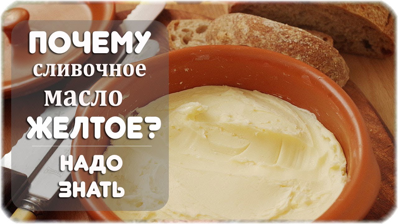 Почему сливочное масло желтое. Желтое масло. Масло из желтого растения. Почему масло желтое. Желтое масло.