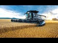 Australian Farmers Harvest Millions Of Tons Of Wheat This Way Wheat Harvesting 