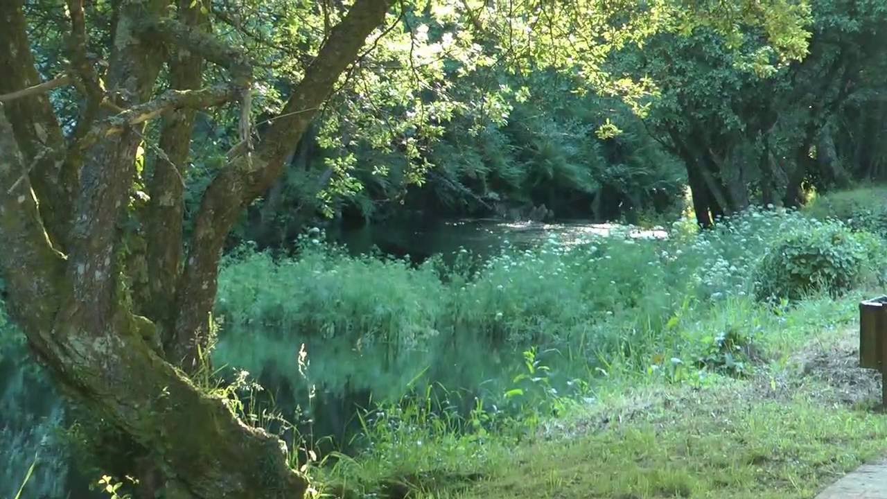 Nº 27 CONOCER GALICIA VILALBA DE LUGO ESPAÑA