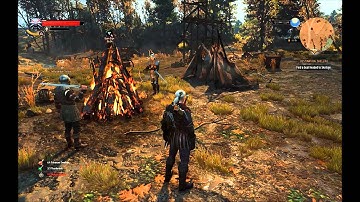 Witcher 3 ridiculous "Ultra" NPC draw distance