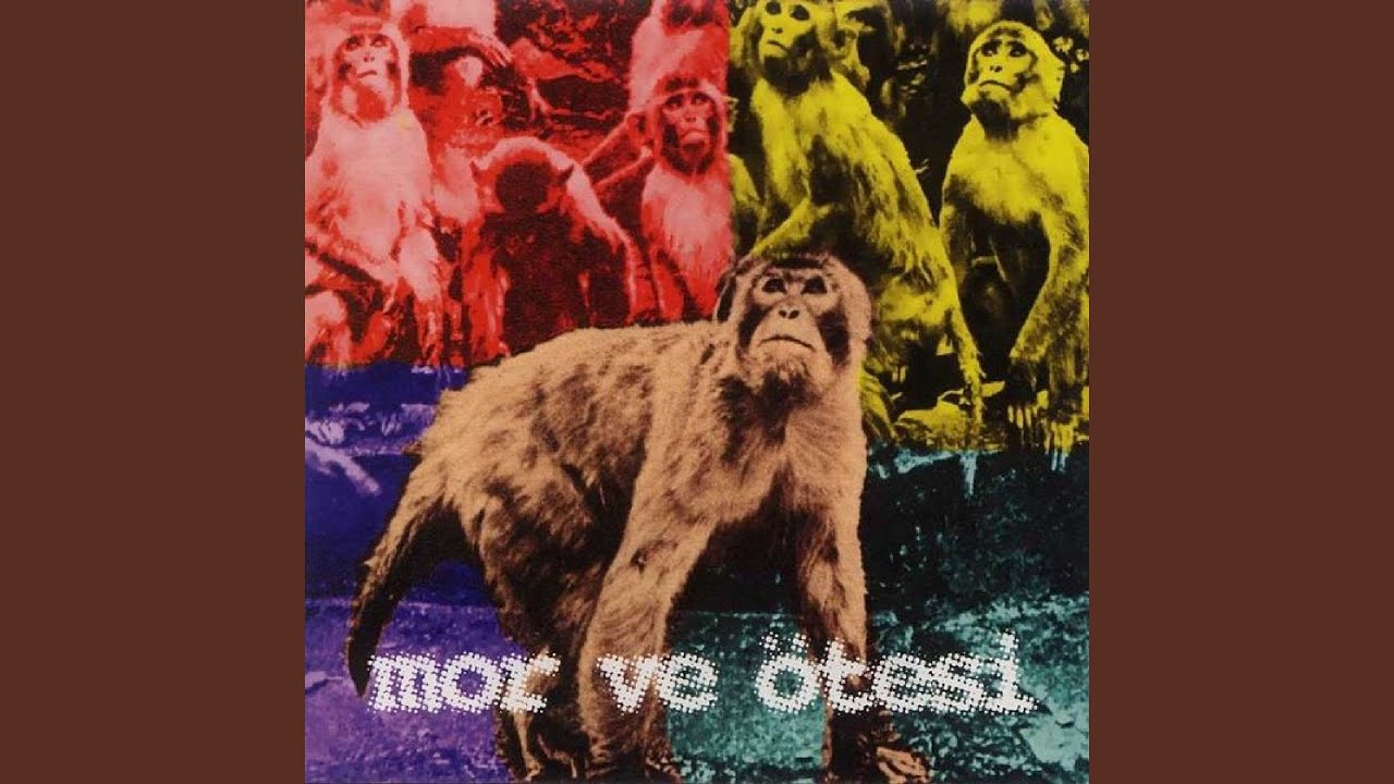 在 YouTube 上觀看「Bırakmazlar Yakamı」 在 YouTube 上觀看「Bırakmazlar Yakamı」