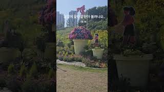 나이는 혼자먹어가지고 뭘 ㅋㅋㅋ