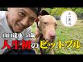 山口達也　わんこと全力ダッシュ